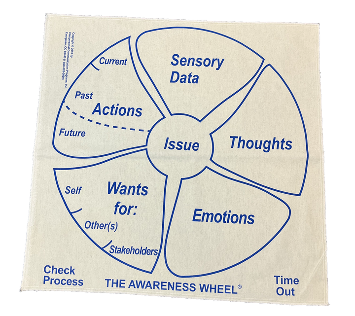 Awareness Wheel Workbook I with InnerAction NotePad and SkillsMat